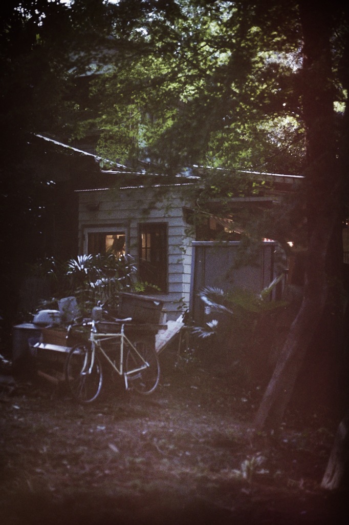 back yard