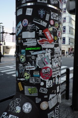 TOKYO TAG#7