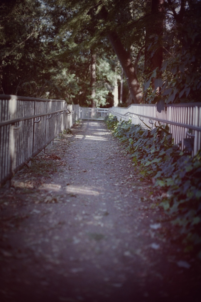 gentle slope