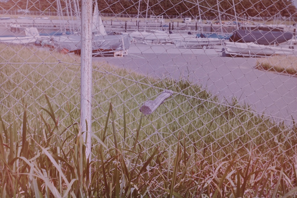 late summer