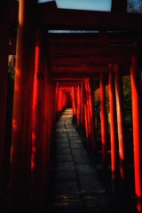 根津神社