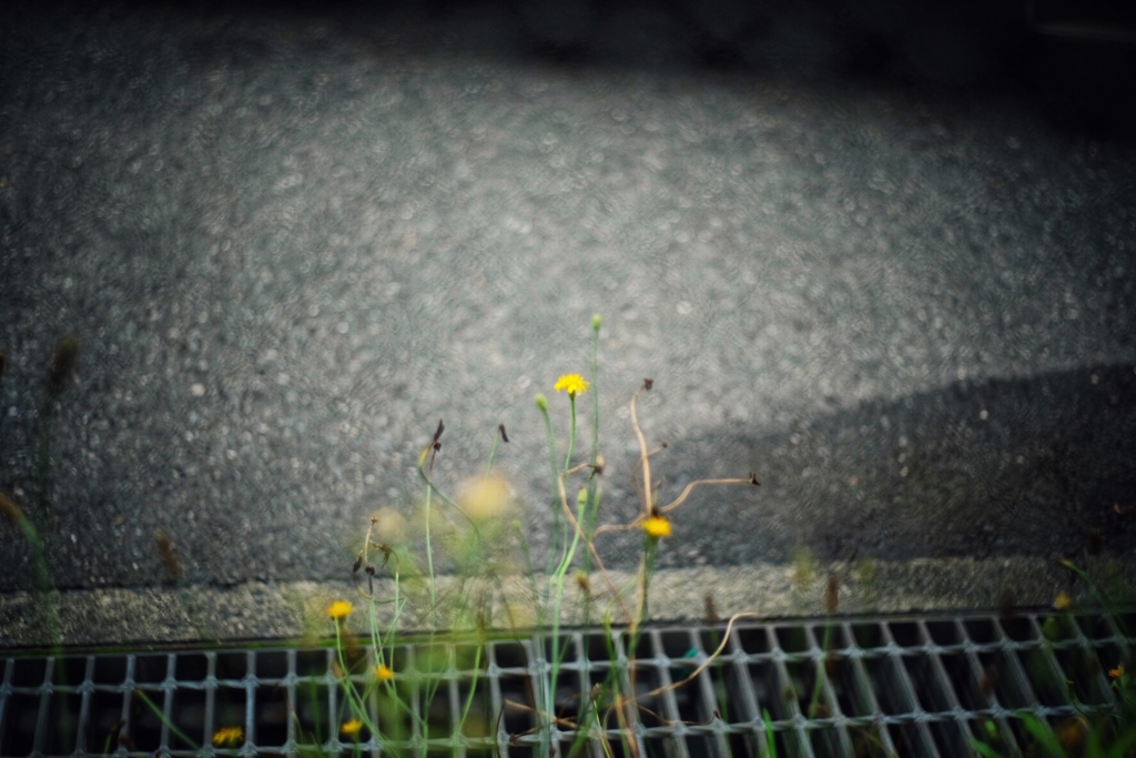 like weeds #1
