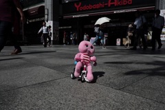 ride on