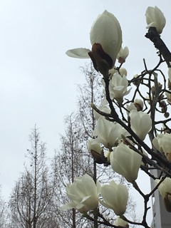 雨の日の公園で