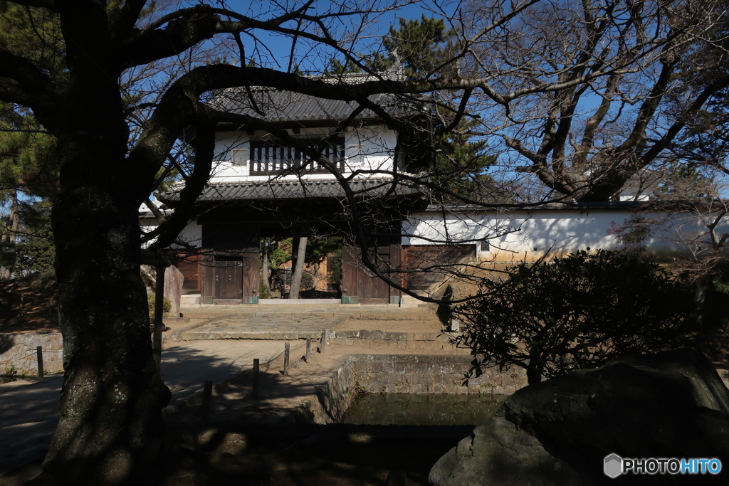 亀城公園2