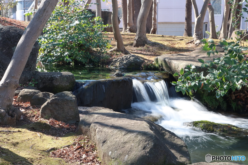 松見公園3