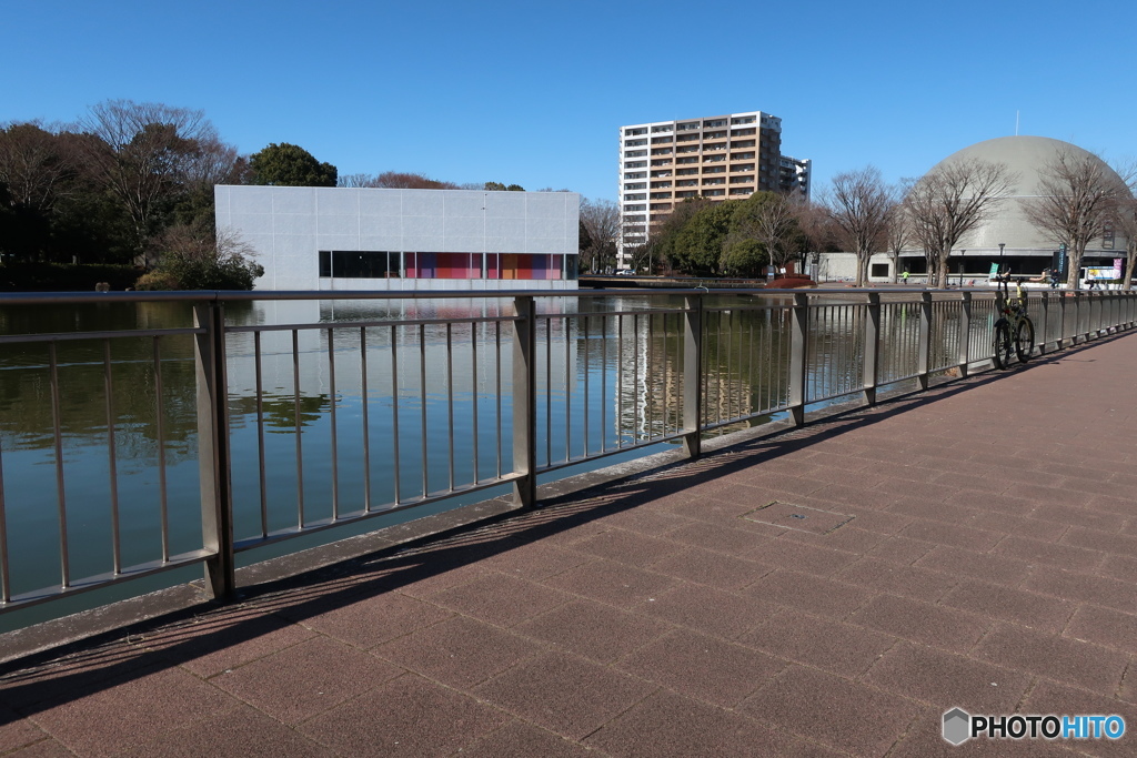 中央公園1