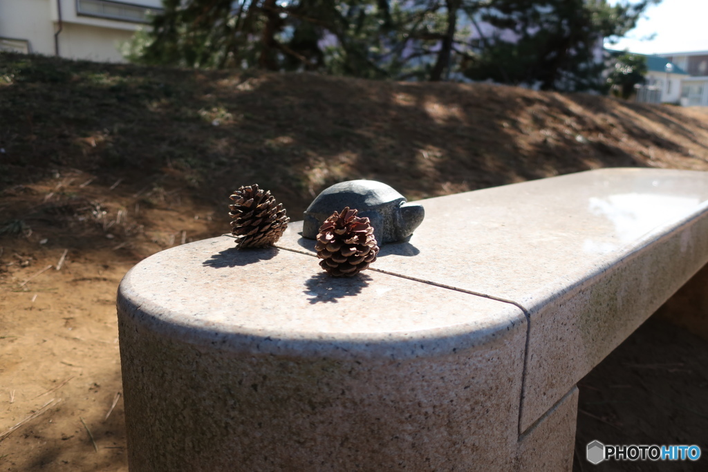 亀城公園5
