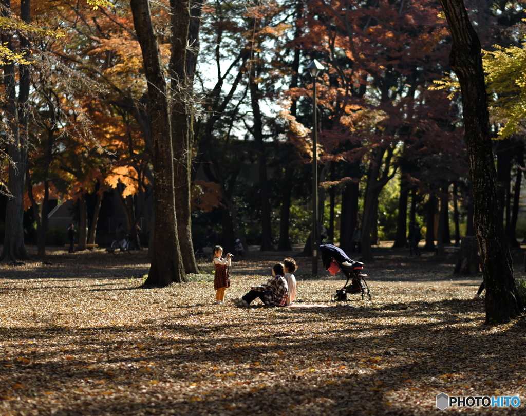 【公園の人間模様】・家族の記念撮影・・小さなカメラマン！