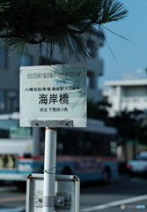 【街の情景】・今日も一日が始まりました・・神奈川県 鎌倉にて！