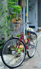 【街の情景】・爽快な朝のお買い物・・吉祥寺中通り商店街にて！