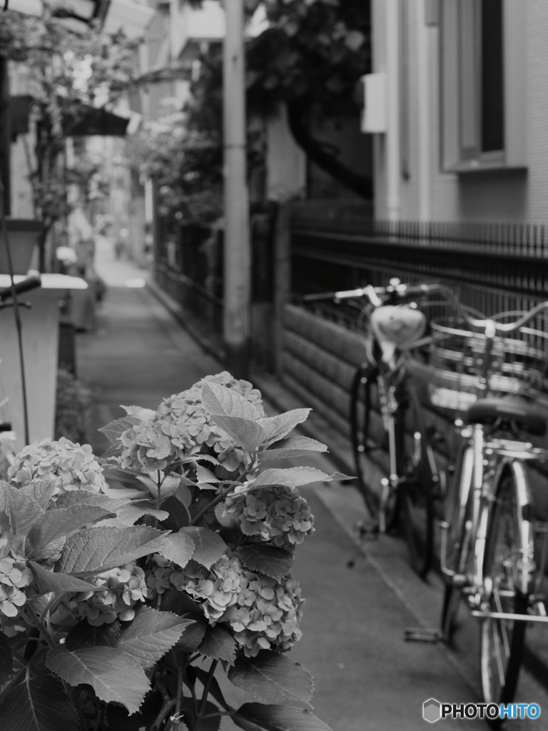 【街の情景】・懐かしの商店街へ・・昔の商店街への路！