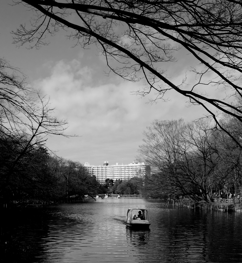 【公園の人間模様】・寒い朝・・井の頭恩賜公園にて！