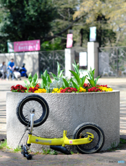 【街の情景】・カラフルな駐輪所・・キッズバイク！