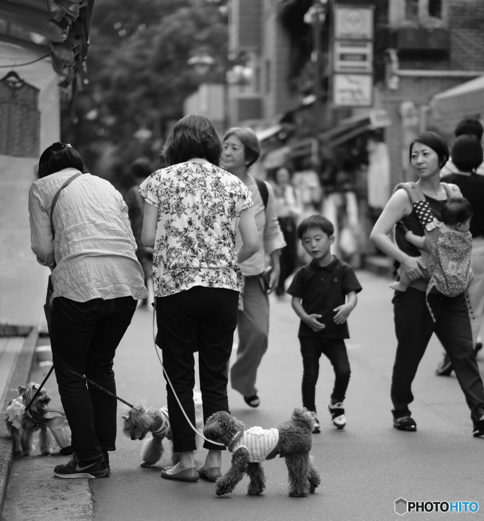 【街の情景】・奥様はおお忙し・・！