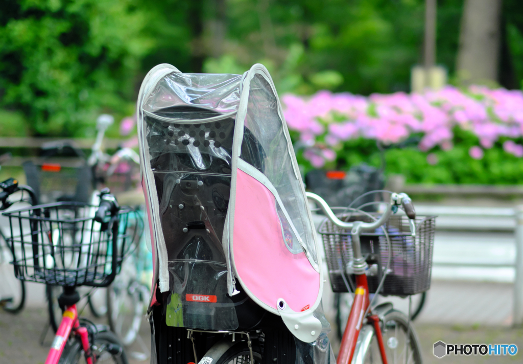 【街の情景】・あじさい色で疾走・・アジサイ色の自転車！