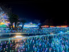 伊豆ぐらんぱる公園 夜のイルミネーション