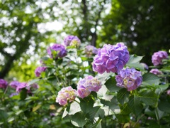 08319FD9-8A54-4F81-8A82-BB3EBCCED801