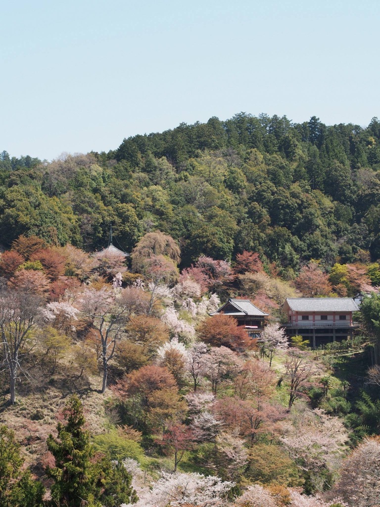 038E2B7C-1647-4BFE-B091-4F8CCDC263D0