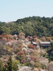 038E2B7C-1647-4BFE-B091-4F8CCDC263D0