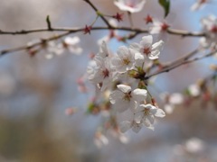 891BA7B1-3191-480B-9900-2B89C38F4635