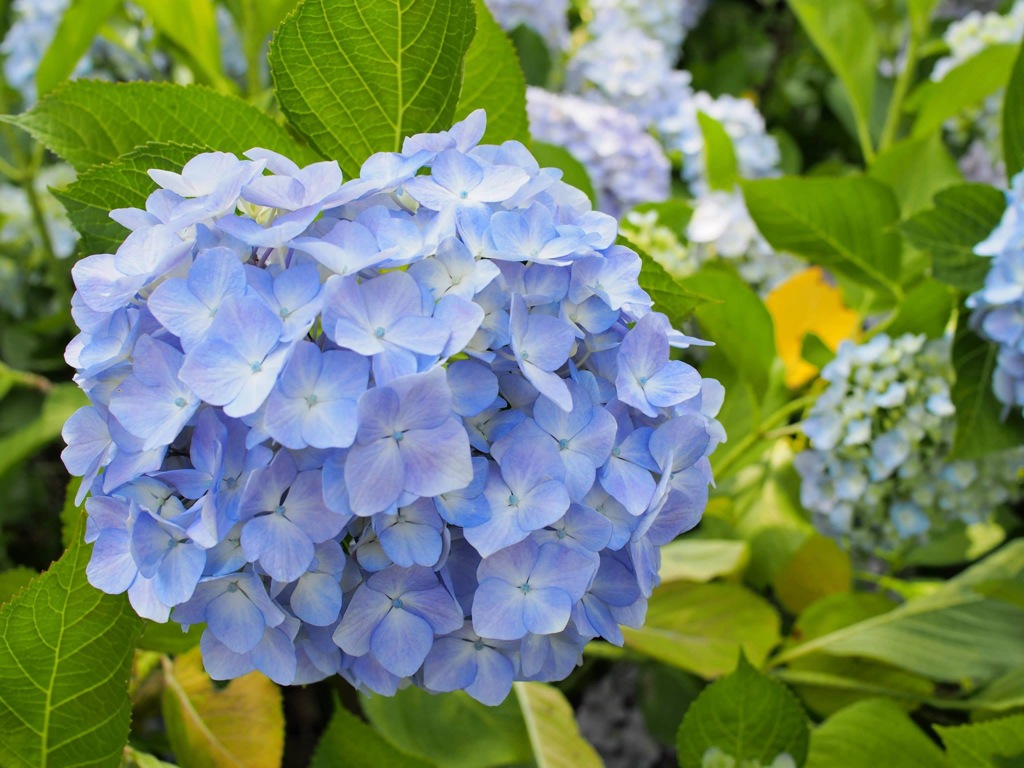 6E684623-8632-41A1-B3C2-AE34377394C5