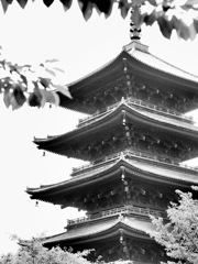 B641A798-CB86-4FE5-9C5D-01D9C1583344