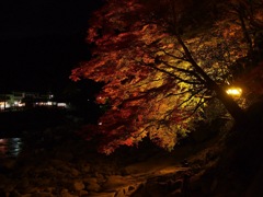 8D4FEC74-4431-4BE4-9BDC-0E464F604D46