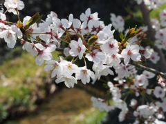 5852F260-7678-4F2D-B843-14FE288267ED