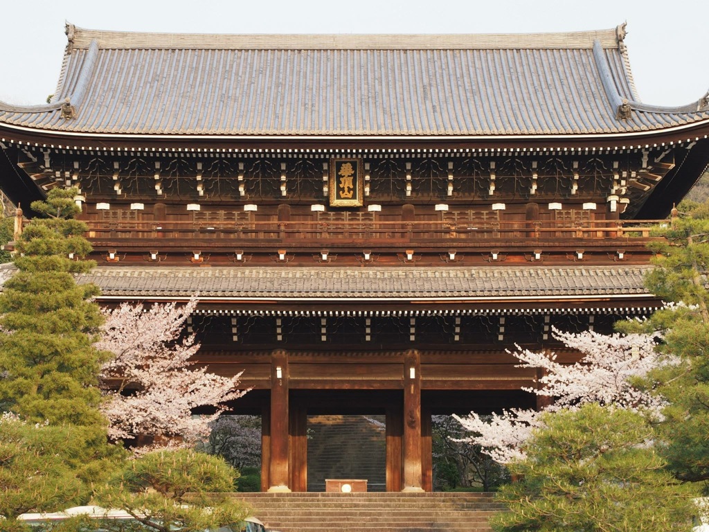 31C94BFA-566A-4F7E-A441-7E897D7E7AE1