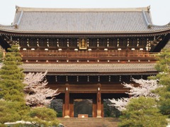 31C94BFA-566A-4F7E-A441-7E897D7E7AE1