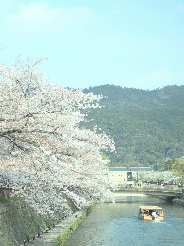 B153029C-2768-4FA2-B065-5A0A349A8793