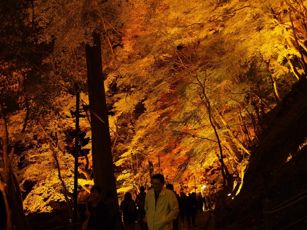 E2762107-A1E8-47FD-A97F-3C4996F7023B