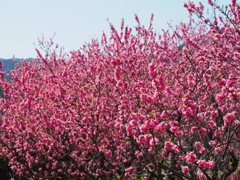 E937CE83-FE0B-4B8E-928C-41E1DD528614