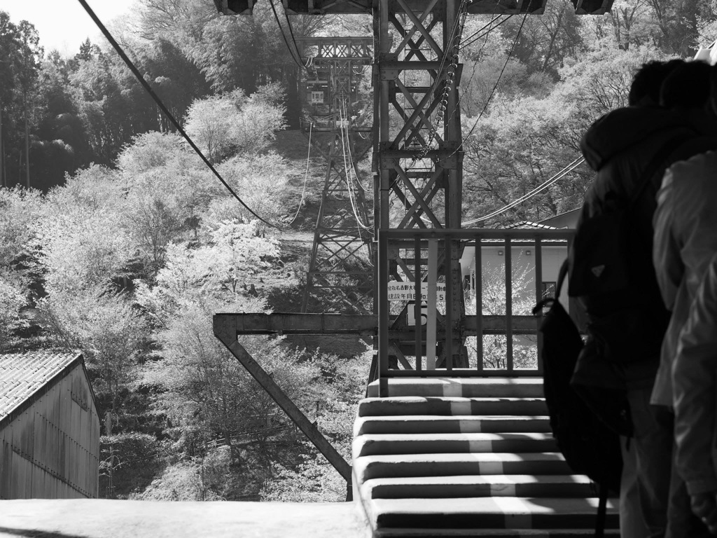 138D6405-B30E-414D-9CD6-DB90BD086903