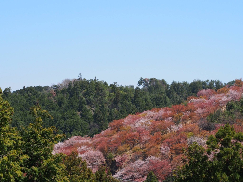 FD599F49-109F-40F1-889D-D00ED73AFFBB