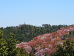 FD599F49-109F-40F1-889D-D00ED73AFFBB