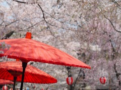 7E124BB8-E839-4921-A531-0FF633DA20FE