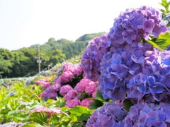 8C4AADB9-EB75-4282-AAFD-761D407D3E39