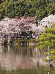 B46A4FAE-C750-4BEA-99DD-F456E384BAF3