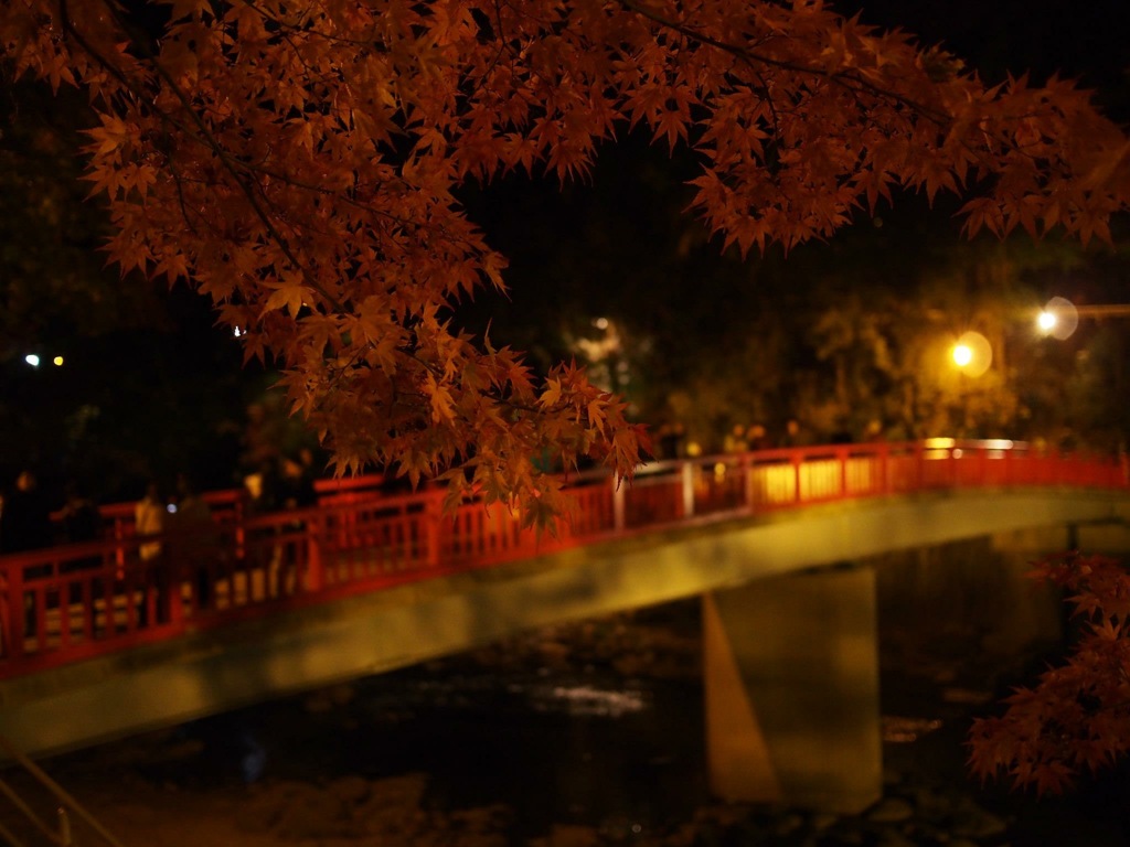 D85FAB60-73A4-43B5-AE58-D75C4F58F468