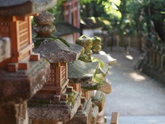 A8013E9D-18F2-46FF-86F3-8C66DF80FFDA