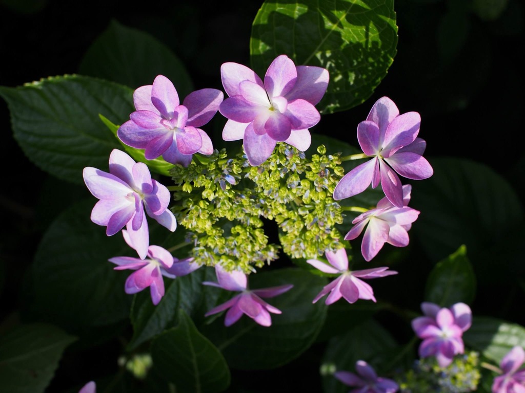 C8E940A1-C2D3-43FD-B889-801946147557