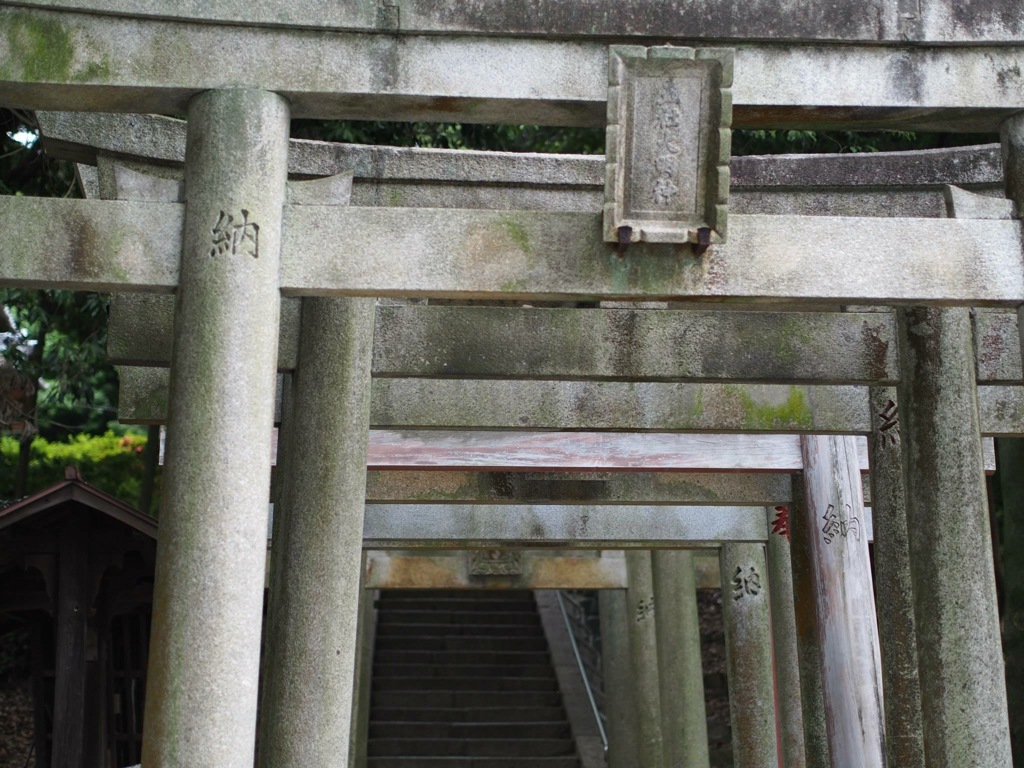 3C2C4ECD-EF2C-447E-8D90-99EF9C63CF15