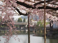 08199602-9F8E-47C0-9190-3AF9D2A7E7DA