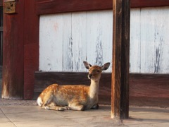 742C92C9-4180-4B18-AF1B-F80674EE8469