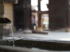 419699B2-2B35-4AF6-AEAA-7320A575A8A4