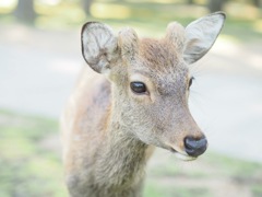 2814C5B0-1D4D-47C2-B1D7-5530B1F40B6D