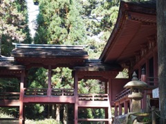 3A9B4D16-744D-481A-86FC-C2DB14A859F9