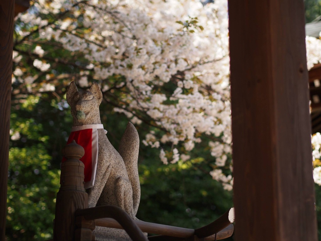 7A9FFB70-CB80-4401-95F9-16B4E8464C75